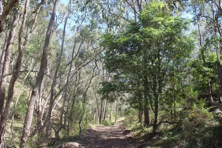 Fifth view of Homely land listing, Lot 2 Springrove Lane, Murrurundi NSW 2338