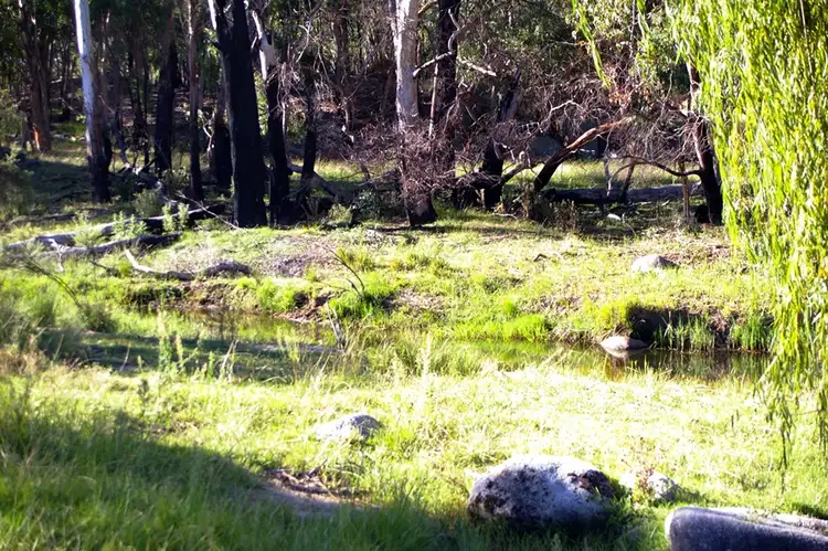 Sixth view of Homely rural property listing, 3242 Thunderbolts Way, Uralla NSW 2358