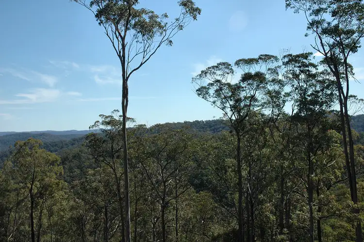 Fifth view of Homely rural property listing, 835 Watagan Creek Road, Laguna NSW 2325