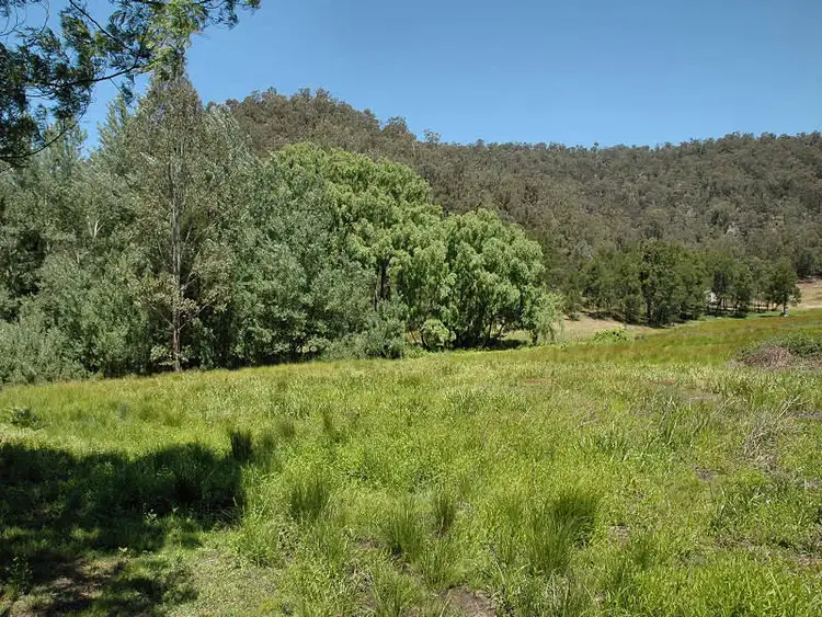 Fourth view of Homely rural property listing, 704 Upper Yango Creek Road, Laguna NSW 2325