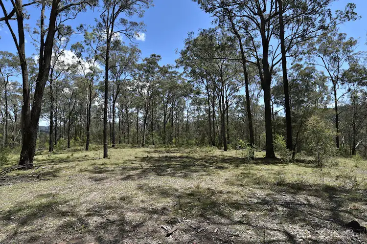 Main view of Homely rural property listing, Lot 1 Great North Road, Laguna NSW 2325