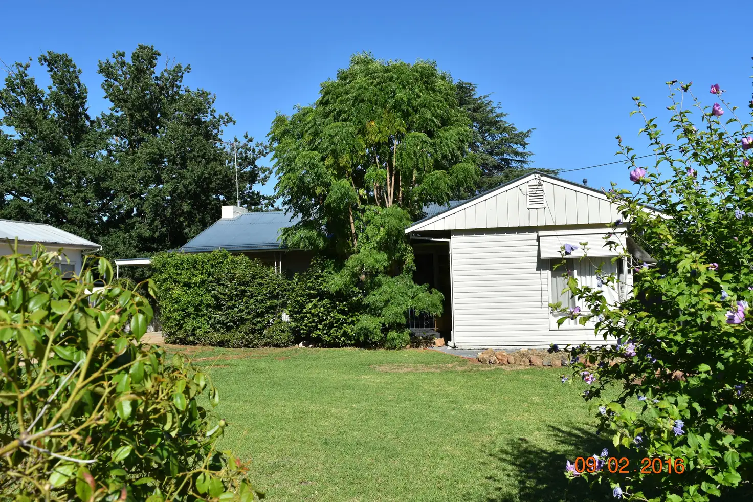 Main view of Homely house listing, 101 Guy Street, Corowa NSW 2646