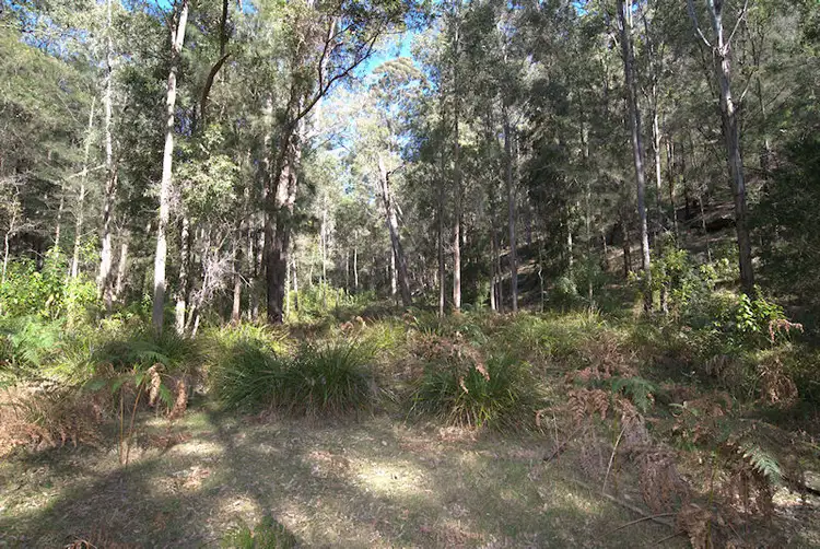 Seventh view of Homely land listing, Lot 137 Boree Valley Road, Laguna NSW 2325