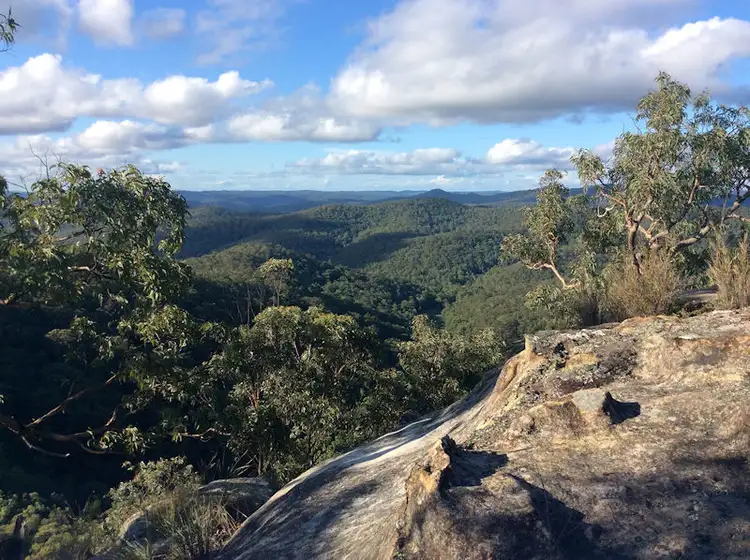 468 Milsons Arm Road, Wollombi NSW 2325