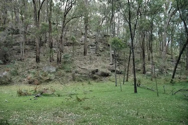 Sixth view of Homely rural property listing, Lot 85&149&213 Stockyard Creek Road, Paynes Crossing NSW 2325