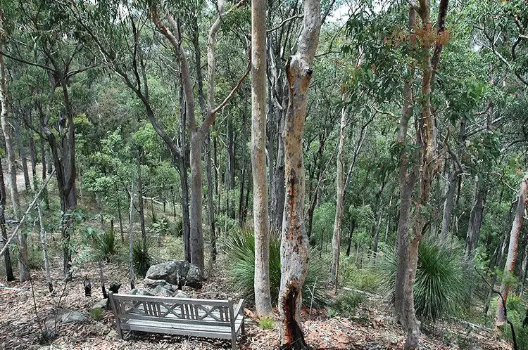 Fifth view of Homely rural property listing, Lot 16 Rocky Creek Road, Wollombi NSW 2325