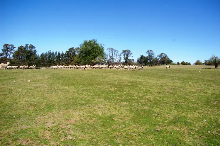 Sixth view of Homely rural property listing, 250 Eastern Avenue, Kentucky NSW 2354