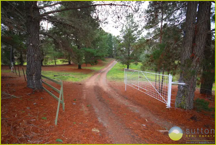 Fifth view of Homely rural property listing, 58 Cooper Road, Wamboin NSW 2620