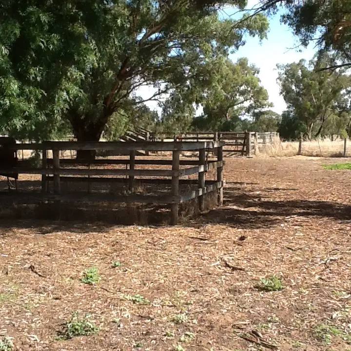 Seventh view of Homely house listing, 328 Lavis Road, Hopefield NSW 2646