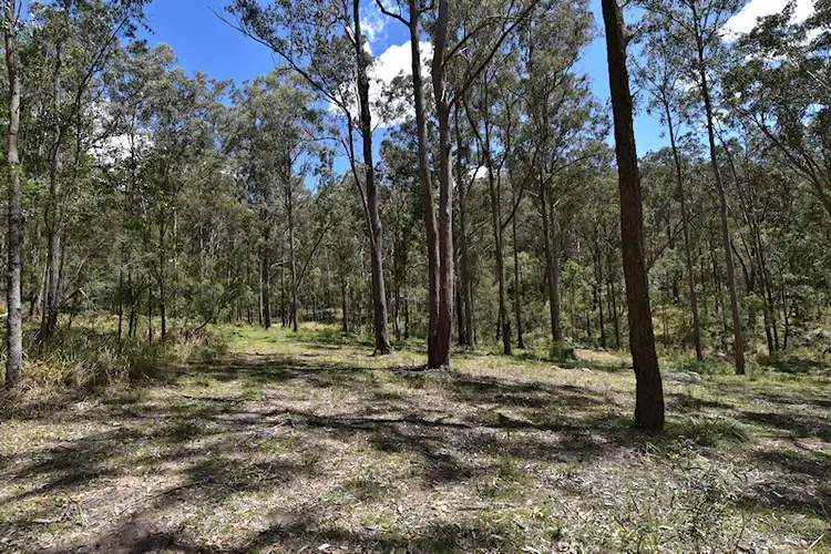 Third view of Homely rural property listing, Lot 3 Great North Road, Laguna NSW 2325