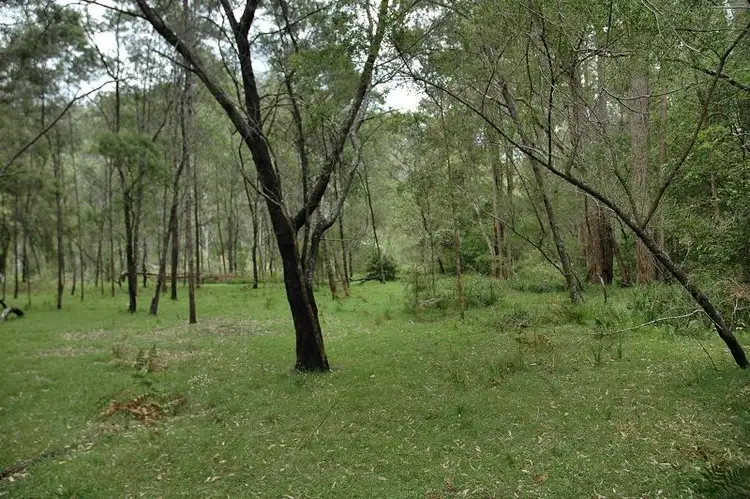 Seventh view of Homely rural property listing, Lot 85&149&213 Stockyard Creek Road, Paynes Crossing NSW 2325