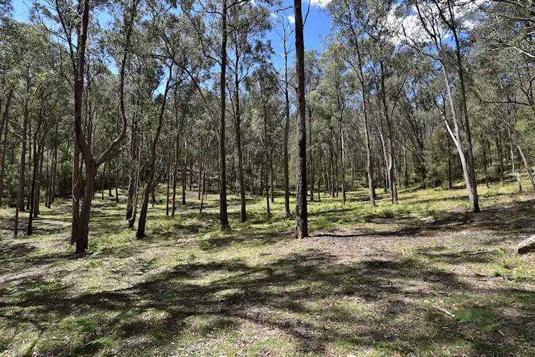 Fourth view of Homely rural property listing, Lot 3 Great North Road, Laguna NSW 2325
