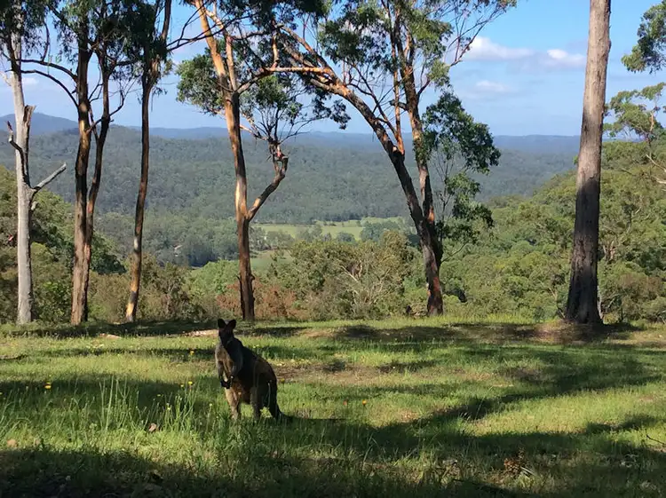 Fifth view of Homely rural property listing, 468 Milsons Arm Road, Wollombi NSW 2325
