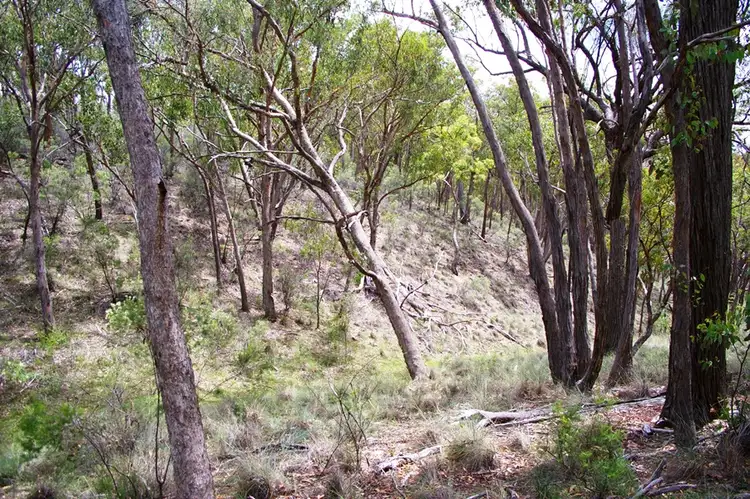 Fifth view of Homely land listing, 65 Rocklea Road, Invergowrie NSW 2350