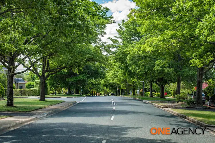 Sixth view of Homely house listing, 100 La Perouse Street, Griffith ACT 2603