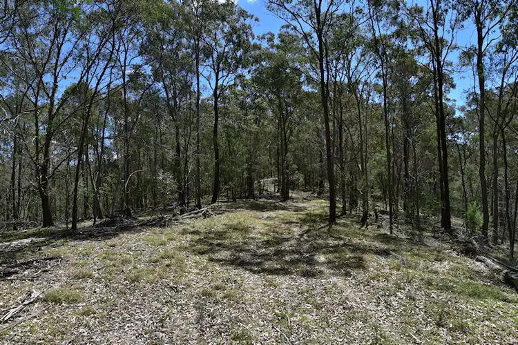Third view of Homely rural property listing, Lot 1 Great North Road, Laguna NSW 2325