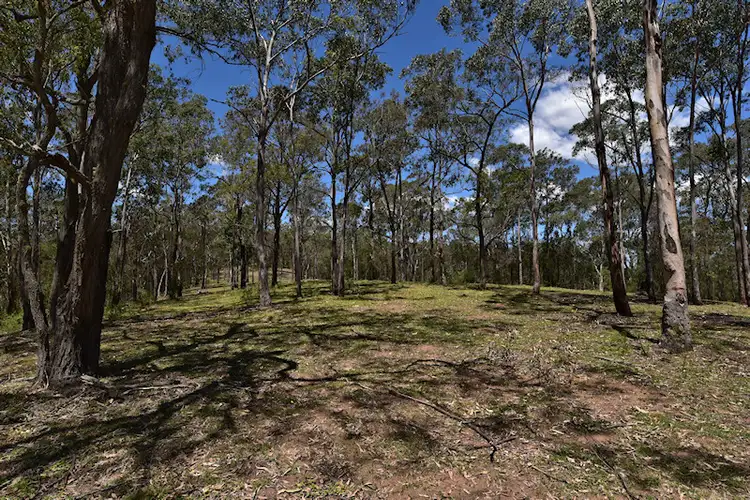 Sixth view of Homely rural property listing, Lot 1 Great North Road, Laguna NSW 2325