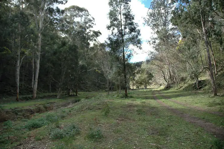 Seventh view of Homely rural property listing, Lots 183 & 209 Stockyard Creek Road, Paynes Crossing NSW 2325