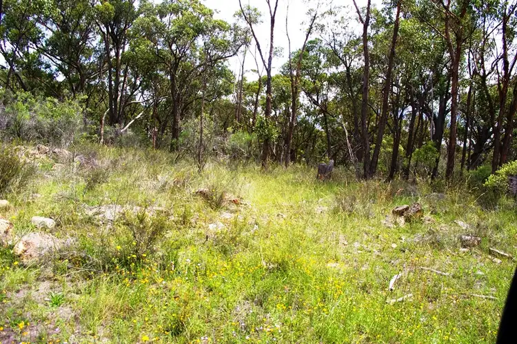 Second view of Homely land listing, 65 Rocklea Road, Invergowrie NSW 2350