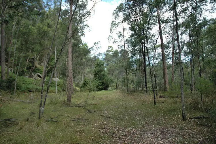 Third view of Homely rural property listing, 485 Dry Arm Track, Wollombi NSW 2325