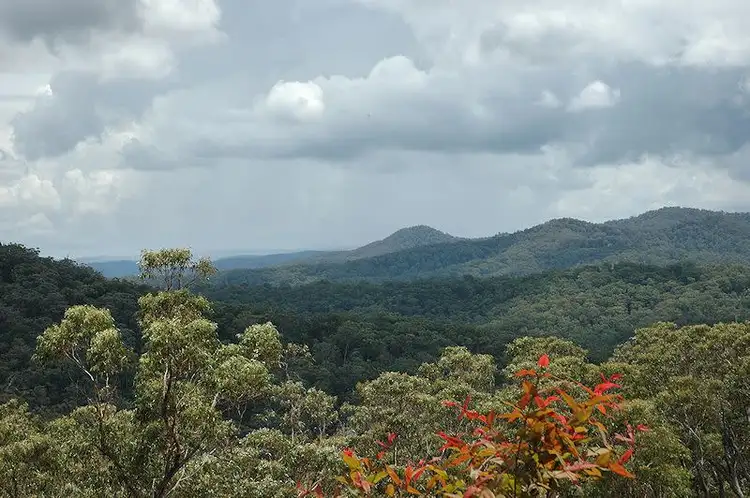 Fourth view of Homely rural property listing, Lot 16 Rocky Creek Road, Wollombi NSW 2325