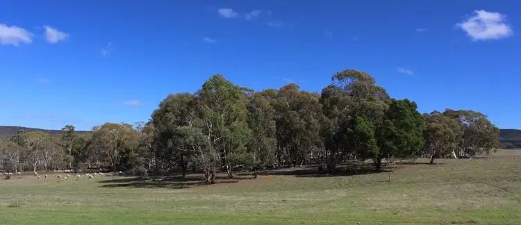 Third view of Homely land listing, Lot 13 Lower Boro Road, Tarago NSW 2580