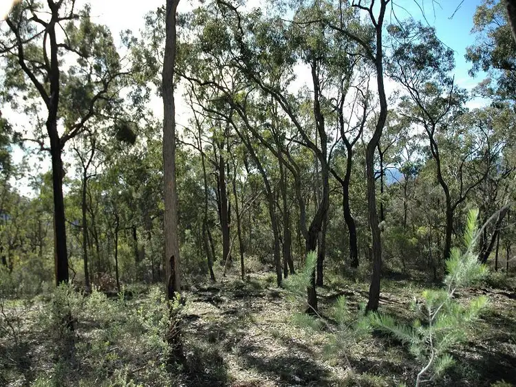 Seventh view of Homely rural property listing, Lot 12 Knights Road, Laguna NSW 2325