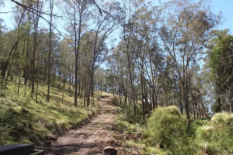 Fourth view of Homely land listing, Lot 2 Springrove Lane, Murrurundi NSW 2338
