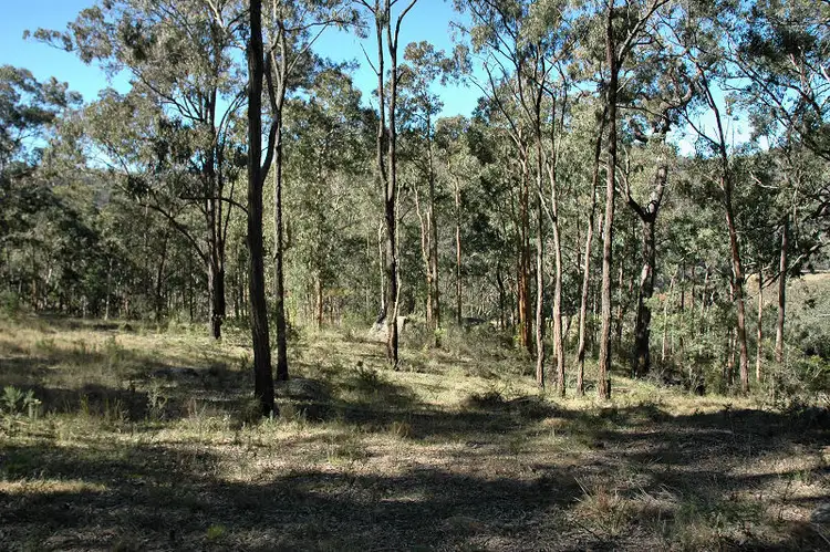 Sixth view of Homely rural property listing, 30 Sullivan Road, Laguna NSW 2325