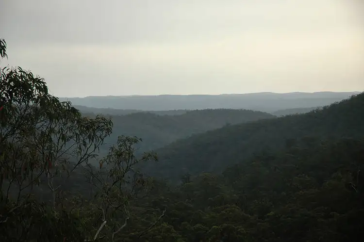 Main view of Homely rural property listing, Lot 107&182 Stockyard Creek Road, Paynes Crossing NSW 2325