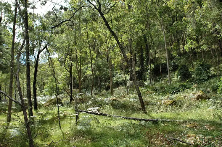 Fifth view of Homely rural property listing, 485 Dry Arm Track, Wollombi NSW 2325