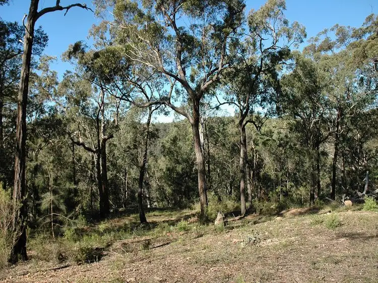 Sixth view of Homely rural property listing, Lot 12 Knights Road, Laguna NSW 2325