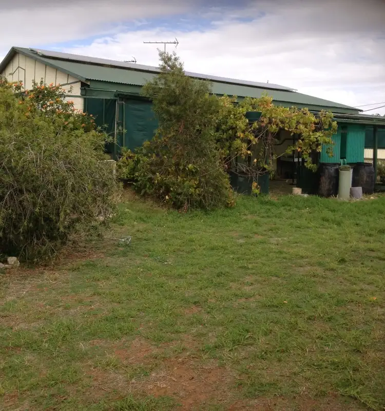 Seventh view of Homely house listing, 66 Buller Street, Oaklands NSW 2646