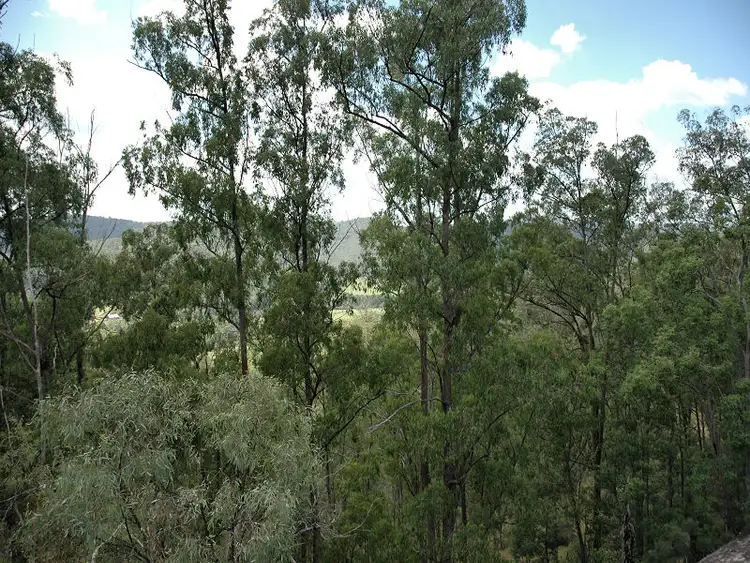 Sixth view of Homely rural property listing, 2288 Paynes Crossing Road, Wollombi NSW 2325