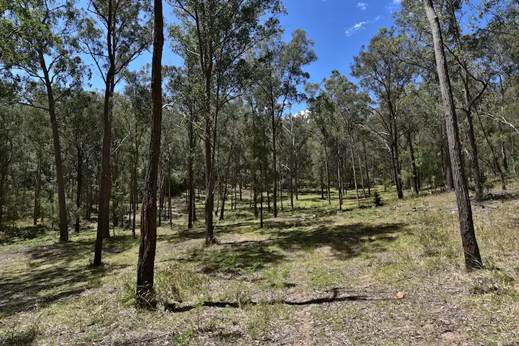 Sixth view of Homely rural property listing, Lot 3 Great North Road, Laguna NSW 2325