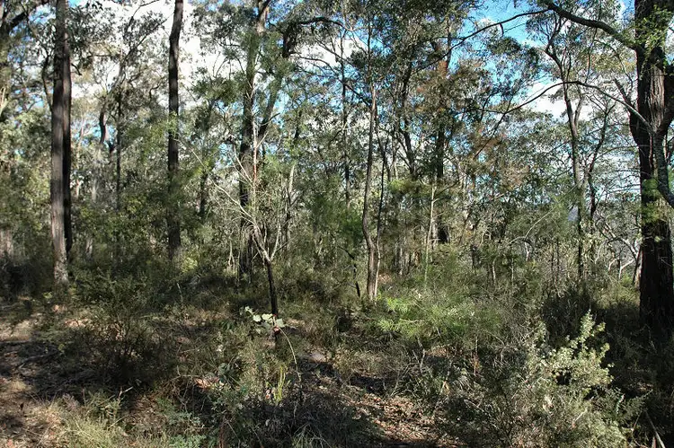 Sixth view of Homely rural property listing, Lots 183 & 209 Stockyard Creek Road, Paynes Crossing NSW 2325