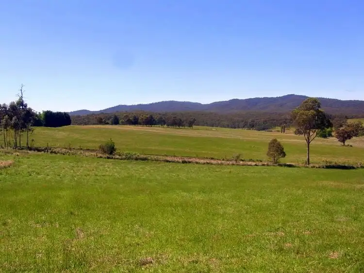Third view of Homely rural property listing, 77 Umbach Road, Wyndham NSW 2550