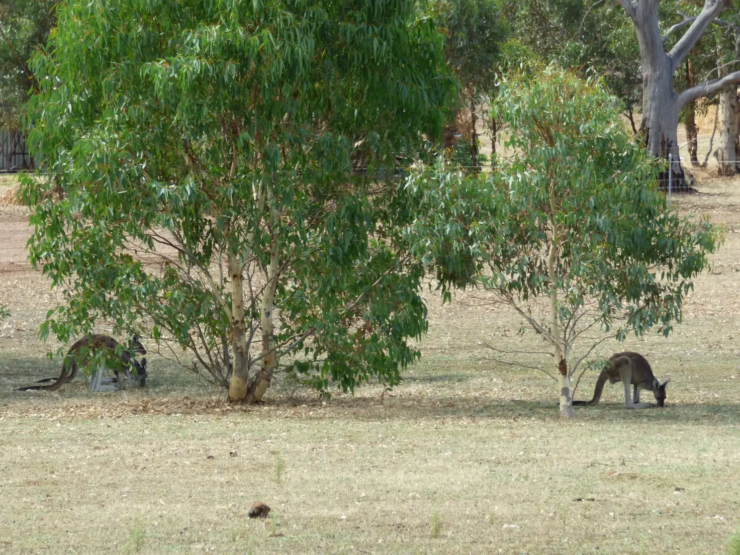 Main view of Homely land listing, 139 Caladenia Drive, Toodyay WA 6566