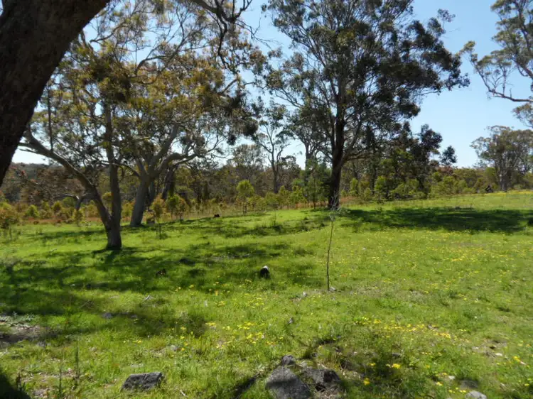 Seventh view of Homely rural property listing, 221 Border Gate Road, Stanthorpe QLD 4380