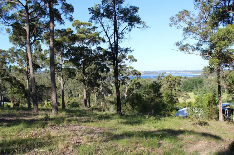 Fourth view of Homely land listing, Lot 14 Stringybark Place, Millingandi NSW 2549