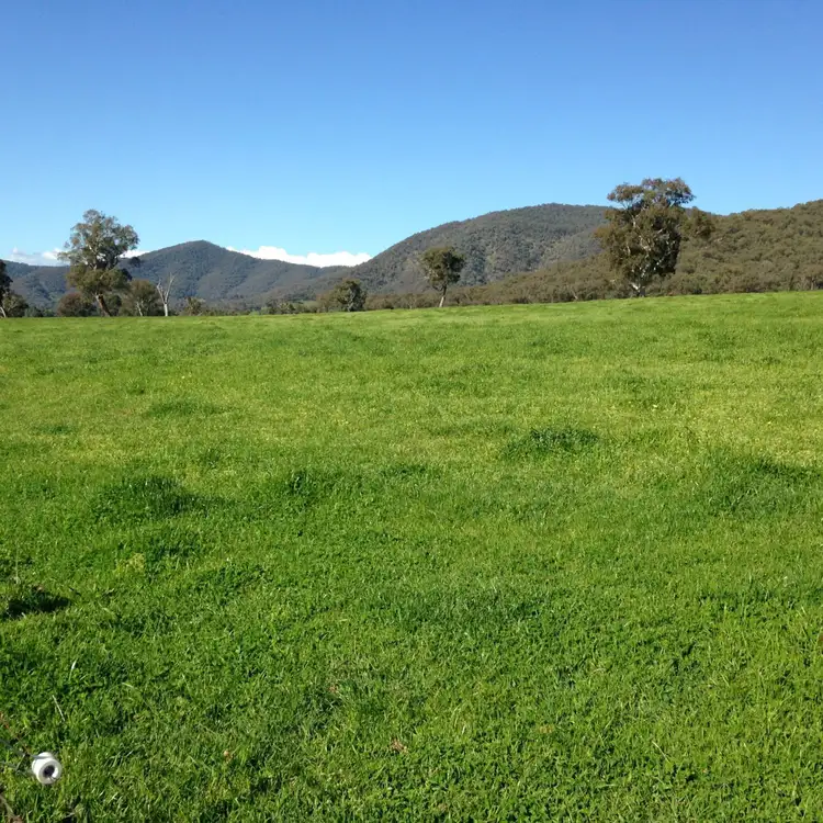 Second view of Homely rural property listing, . Thowgla Road, Thowgla Valley VIC 3707