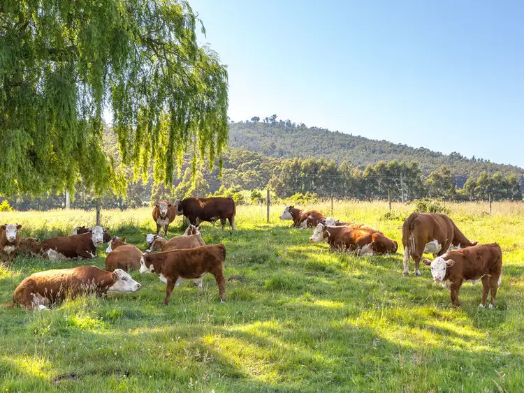 Second view of Homely land listing, 34539/1 Kermandie River Road, Geeveston TAS 7116