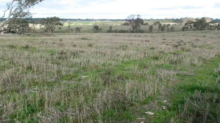 Fourth view of Homely rural property listing, 1546 Chetwynd St East, Chetwynd VIC 3312