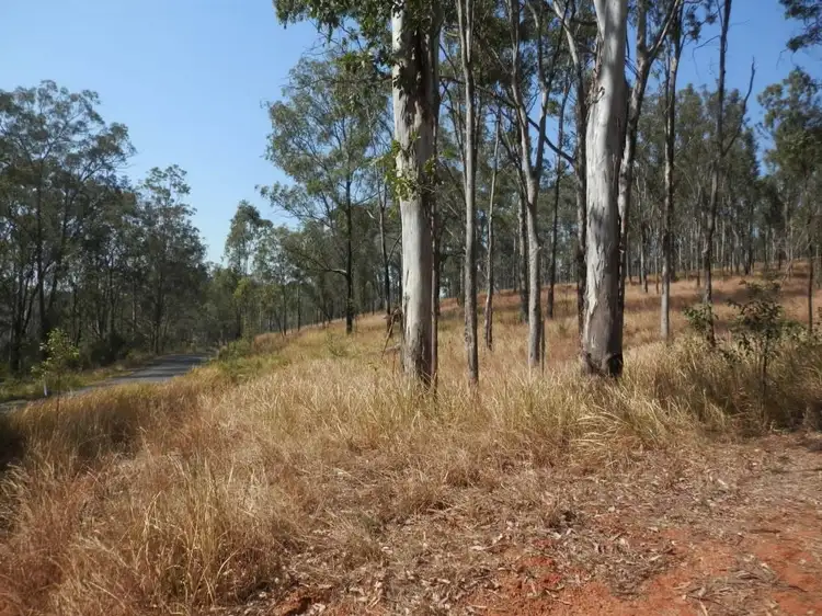 Third view of Homely land listing, Cnr Plains Station Road And Olgilvy Drive, Tabulam NSW 2469