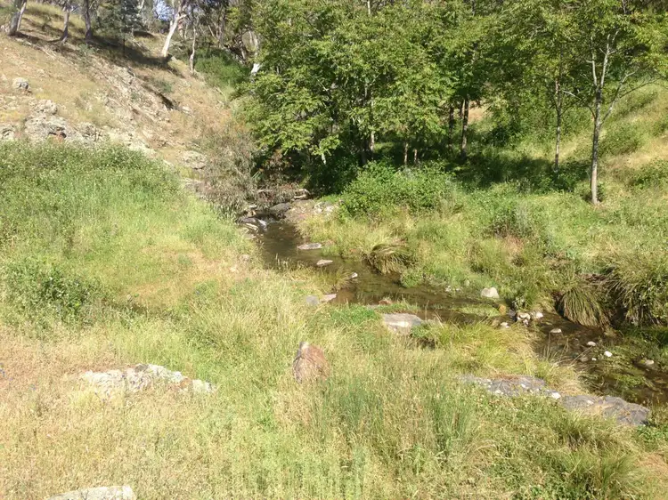 Fourth view of Homely rural property listing, 117/Lot 117/755790 Red Hill Road, Running Stream NSW 2850