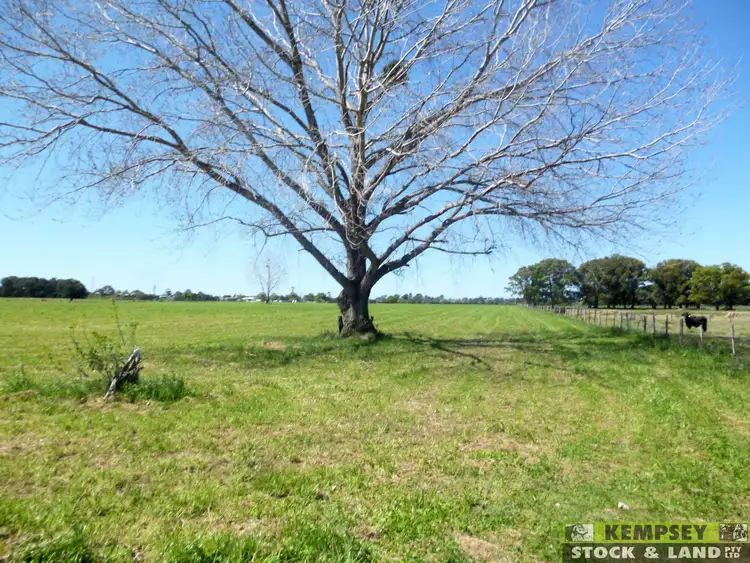 Sixth view of Homely rural property listing, L1 Euroka Road, Euroka NSW 2440