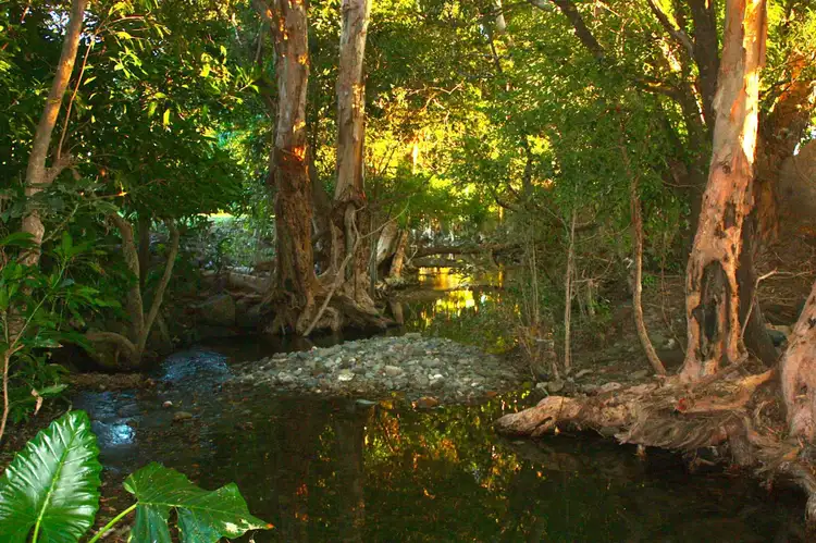Third view of Homely land listing, 51 Crees Road, Port Douglas QLD 4877