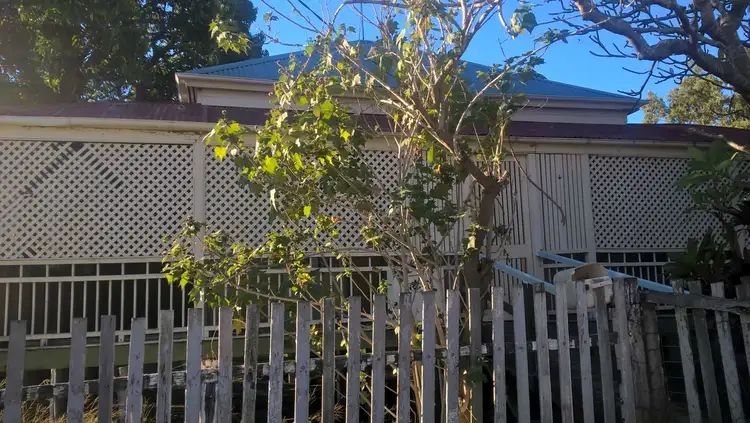 1 Lukin Street, Mount Morgan QLD 4714