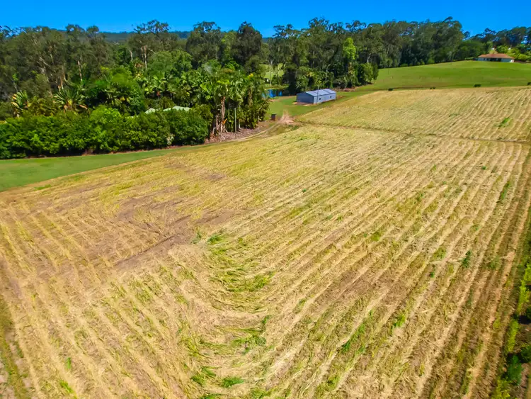 Seventh view of Homely rural property listing, 410 CHEVALLUM Road, Chevallum QLD 4555