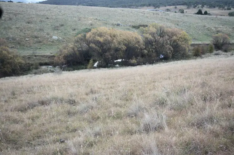 Seventh view of Homely land listing, 55 Daniel Lane, Forbes Creek NSW 2621